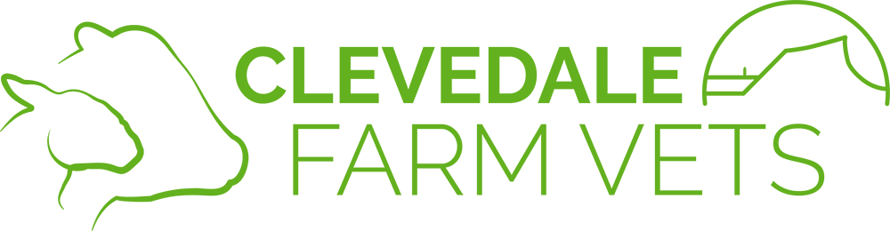 Visit Clevedale Veterinary Practice home page